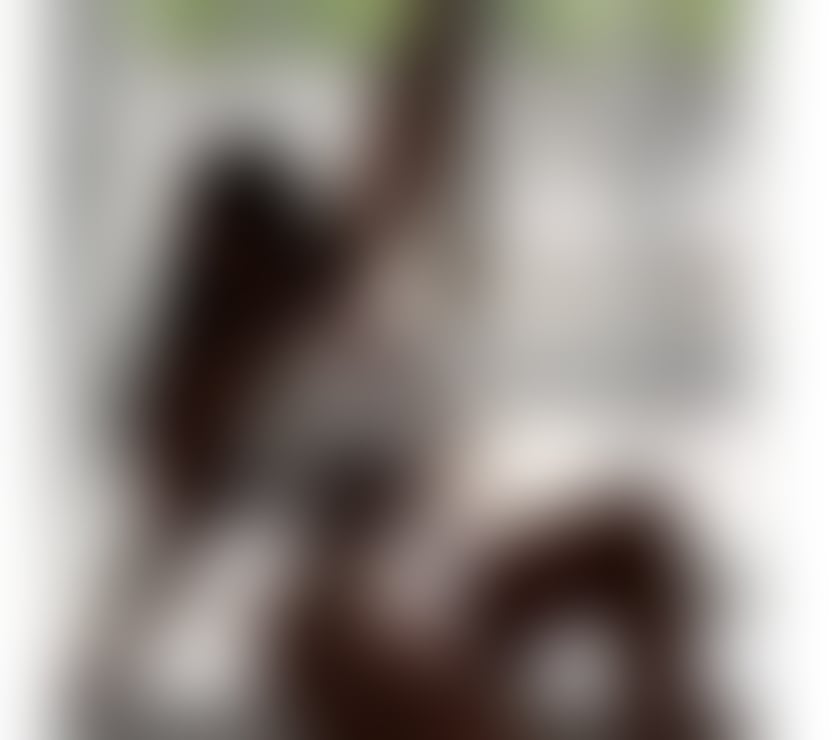 Escorts Greater Manchester Manchester - Photos for Sophiayñ Real Picture 💋