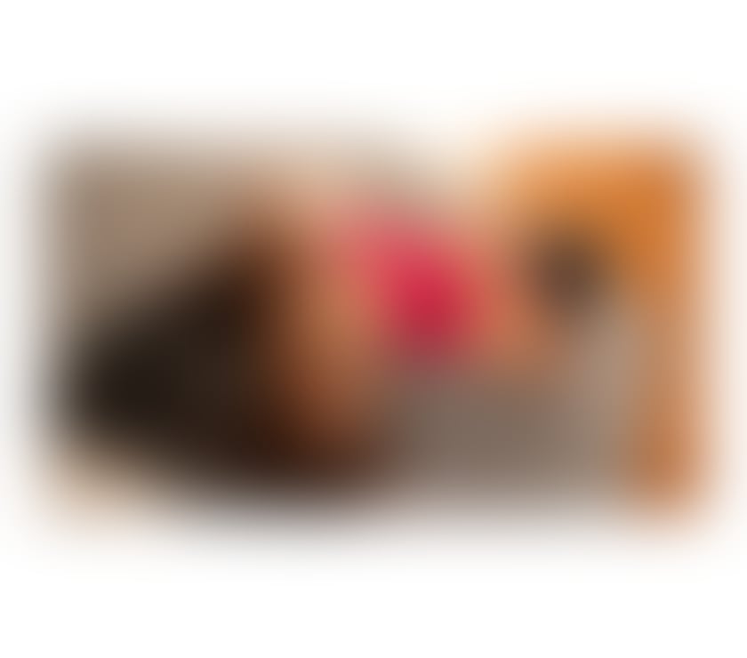 Escorts Greater Manchester Bolton - Photos for Alice 💘 A wonderland of love and plleasure