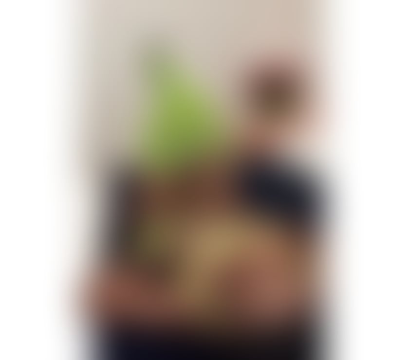 Escorts Wrexham - Wales Wrexham City Centre - Wrexham - Photos for 🇧🇷JASMINE QUEEN💚GFE💚PARTY 🆕