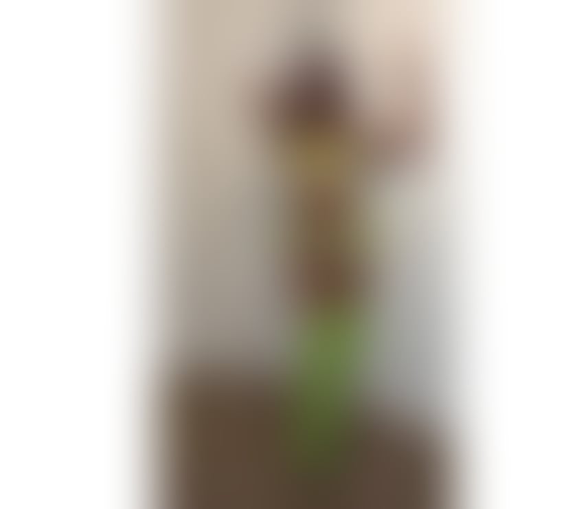 Escorts Wrexham - Wales Wrexham City Centre - Wrexham - Photos for 🇧🇷JASMINE QUEEN💚GFE💚PARTY 🆕