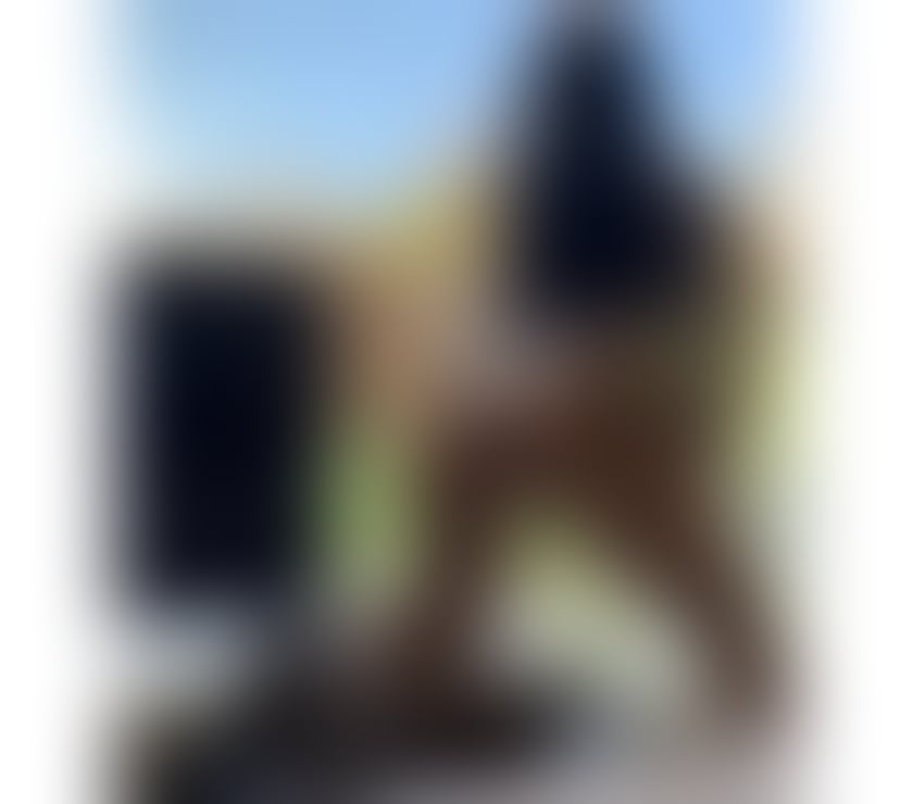 Escorts Falkirk Falkirk Town Centre - Falkirk - Photos for Hi my name it’s Roxi and I want to meet you