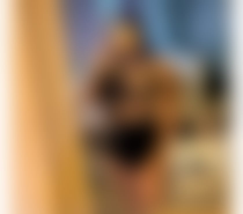 Escorts Kent Tunbridge Wells - Photos for SWEET SEXY GIRL 💕NEW💯🔥