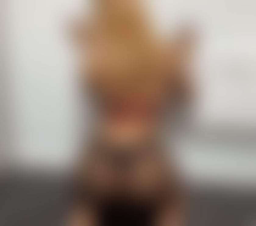  Escorts & Erotic Massage Bradford City Centre Bradford - Photos for Nikol Sexy brunette