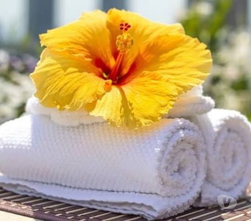 Full body massage North London Harringay - North London - Photos for Amazing Swedish Massage