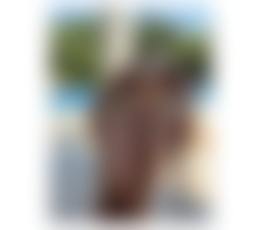 Escorts Wiltshire Swindon - Photos for BIA NEW IN TOWN ❤️ GFE NO RUSH🔥