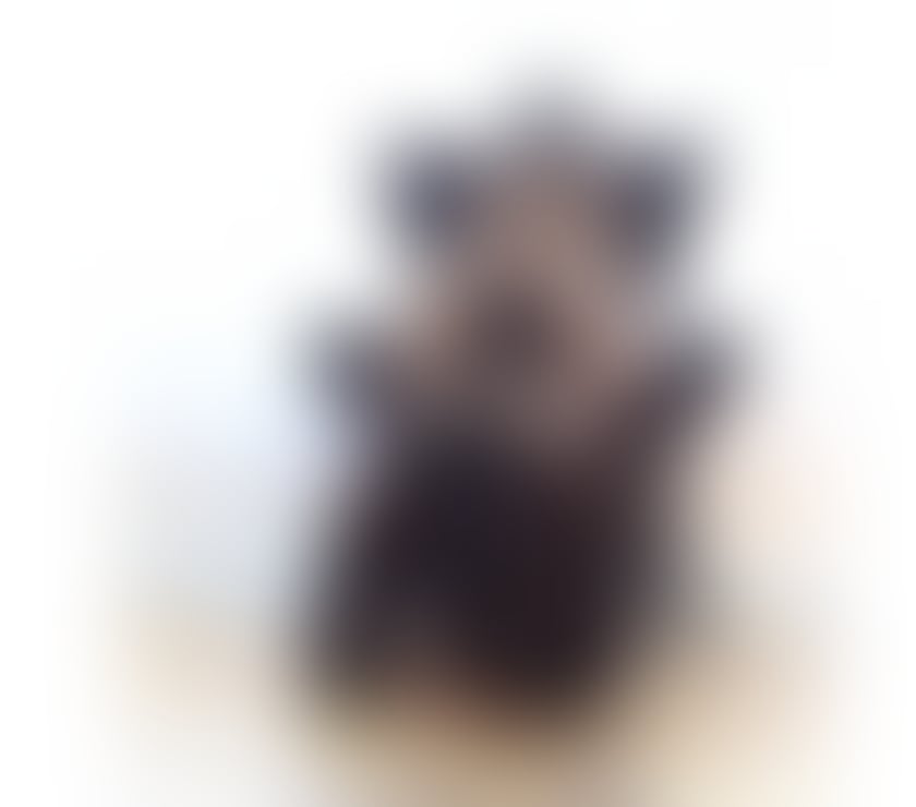 Escorts South East London Bellingham - South East London - Photos for 💚PATRICIA 💚💚SEXY BRAZILIAN💚 ONLY 💚💚