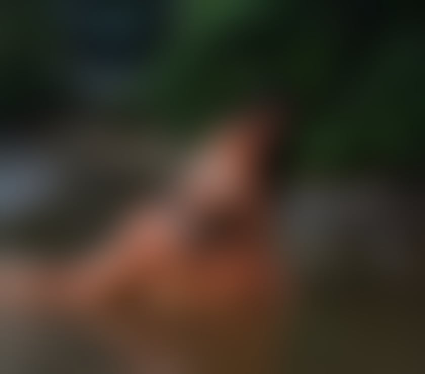 Escorts Hemel Hempstead Dacorum - Photos for 🌶️ BEST PRICE AND SERVICE 👅 BIG BUNDA 🇧🇷🍑