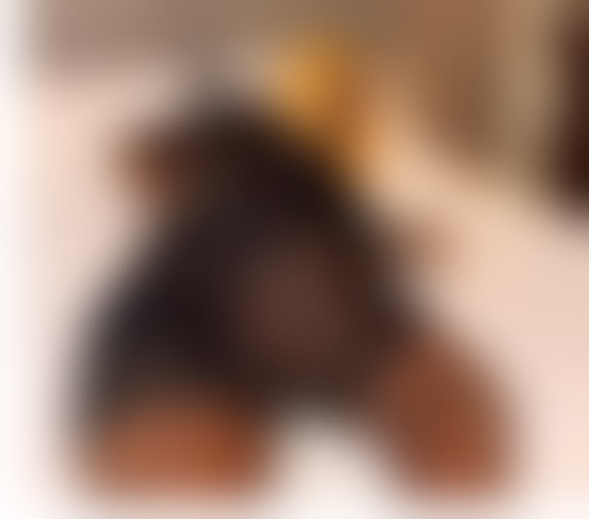 Escorts Buckinghamshire Milton Keynes - Photos for Clara Summer BIG ASS AFRO BABE💯💋❤️