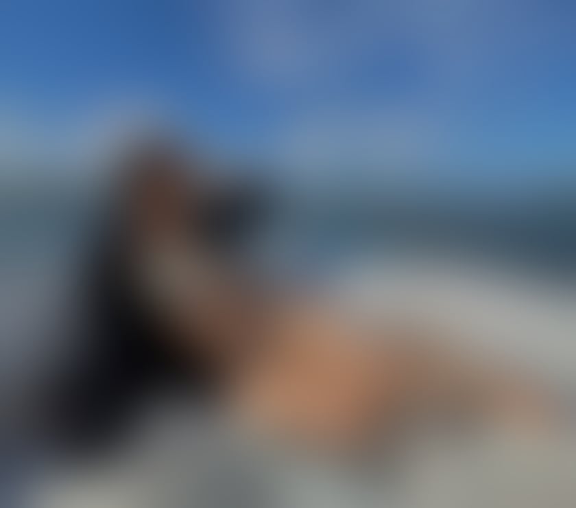 🔥 SEDUCTIVE LATINA ESCAPE 🔥