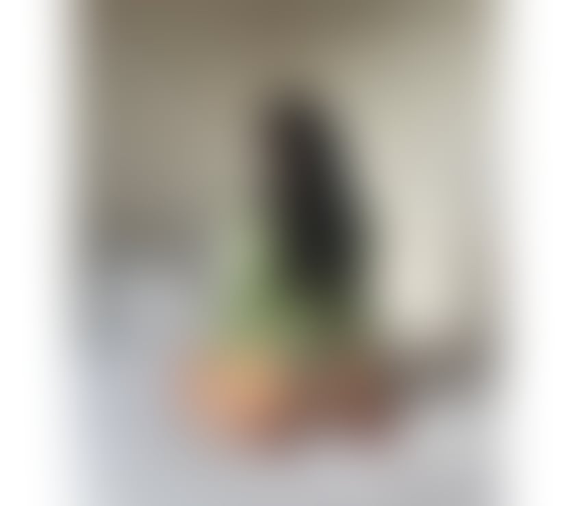 Escorts Norwich City Centre Norwich - Photos for New girl in town The best without a hurry 🖤