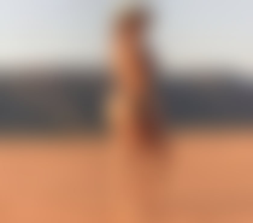 Escorts Bedfordshire Central Bedfordshire - Photos for 🇧🇷 Blond Sexy Brazilian Girl in Bedford