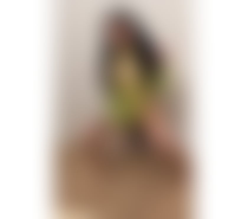 Escorts South East London Croydon - Photos for NEW PARTY GIRL IN TOWN ❤️BEST SERVICE ❤️