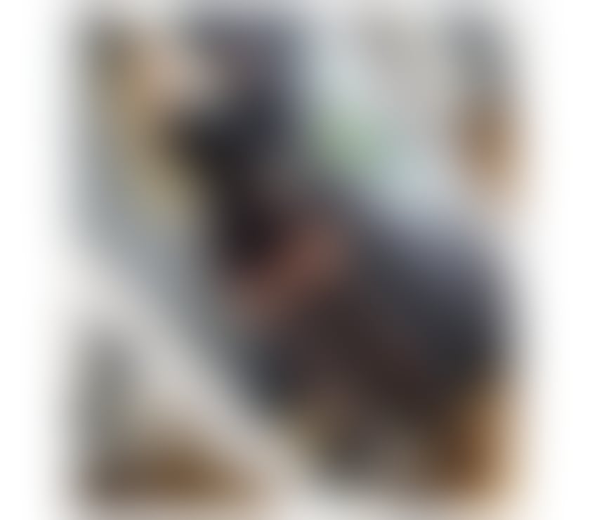 Escorts Devon Teignbridge - Photos for 🔞NEW GIRL HERE 👠FULL SERVICE🔝❤️‍🔥