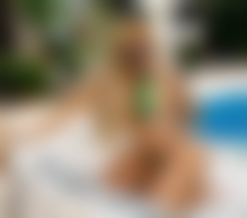 Escorts West Midlands Birmingham - Photos for 💎ANGEL VIVARA💎BACK IN BIRMINGHAM💎BIG ASS💎