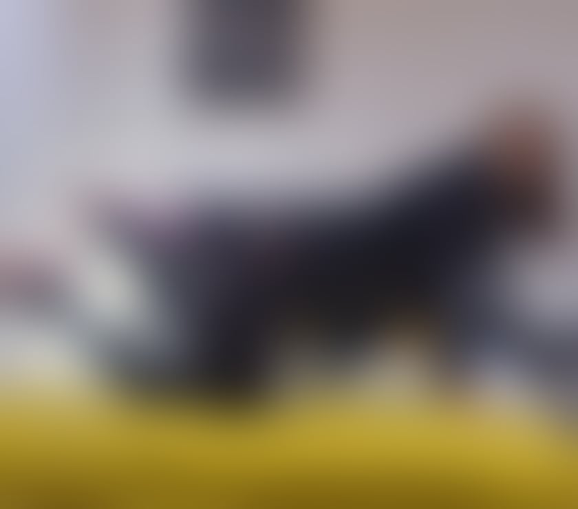 Trans Escorts Newport - Wales Newport City Centre - Newport - Photos for Eva💃Let me satisfy you 🤤🍆15min only£50😍