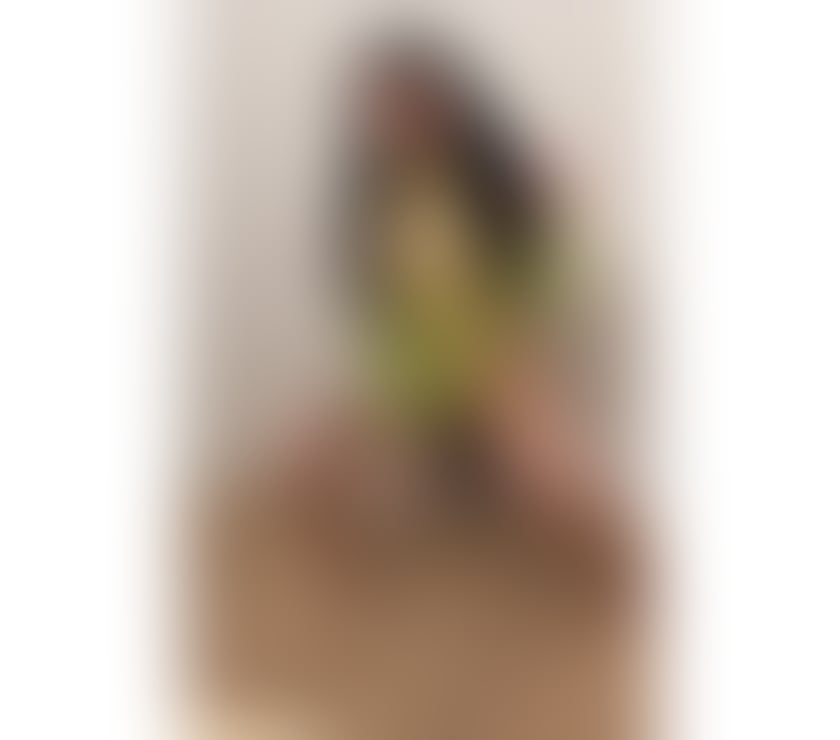 Escorts South East London Crystal Palace - South East London - Photos for NEW PARTY GIRL IN TOWN ❤️BEST SERVICE ❤️