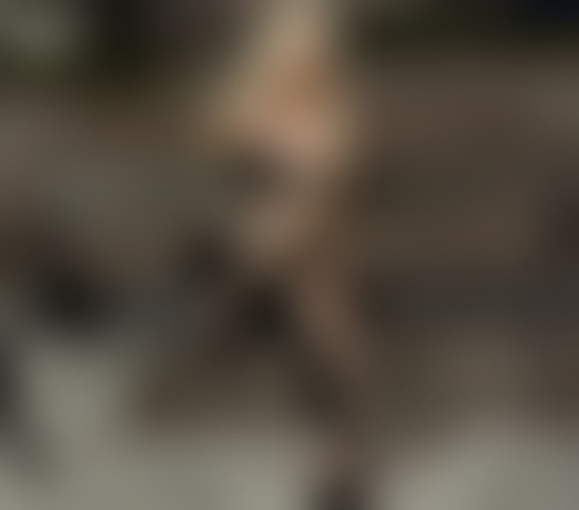 Escorts Dorset Bournemouth, Christchurch and Poole - Photos for NEW PARTY GIRL Best GFE😛OWO😜