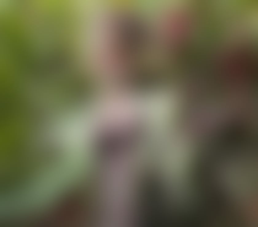 Escorts West Yorkshire Leeds - Photos for Tina Brazilian in the City🥂 🇧🇷