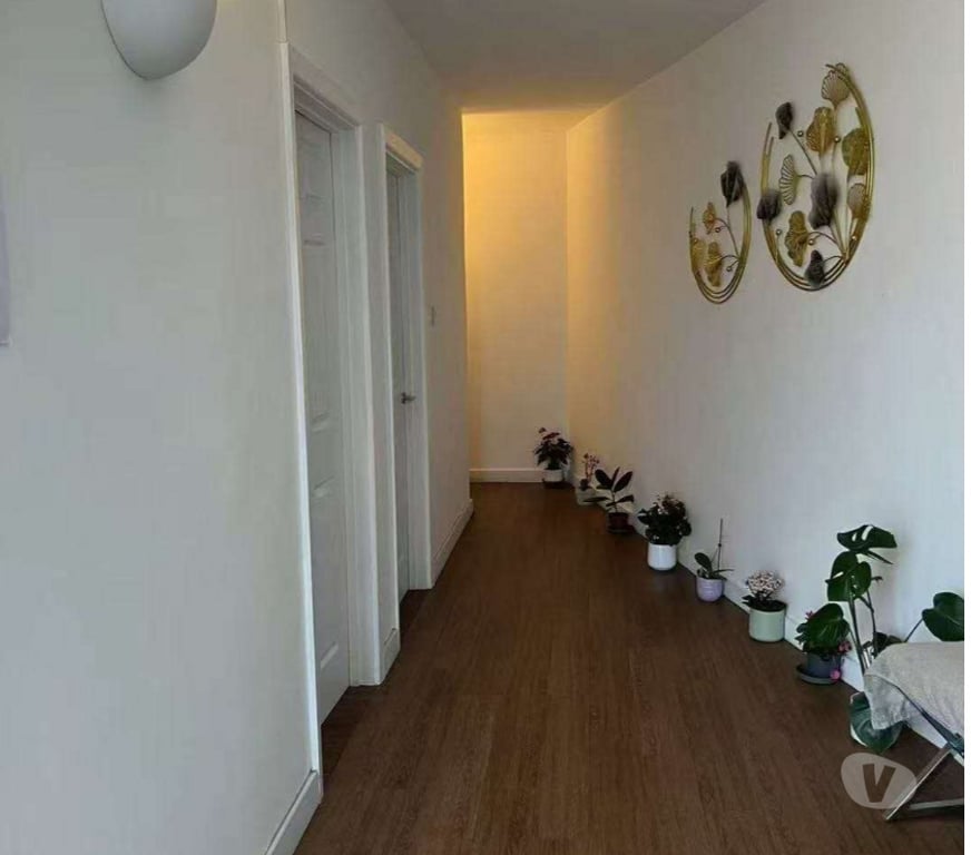 Escorts East Sussex Brighton - Photos for Relax & Renew Therapy massage