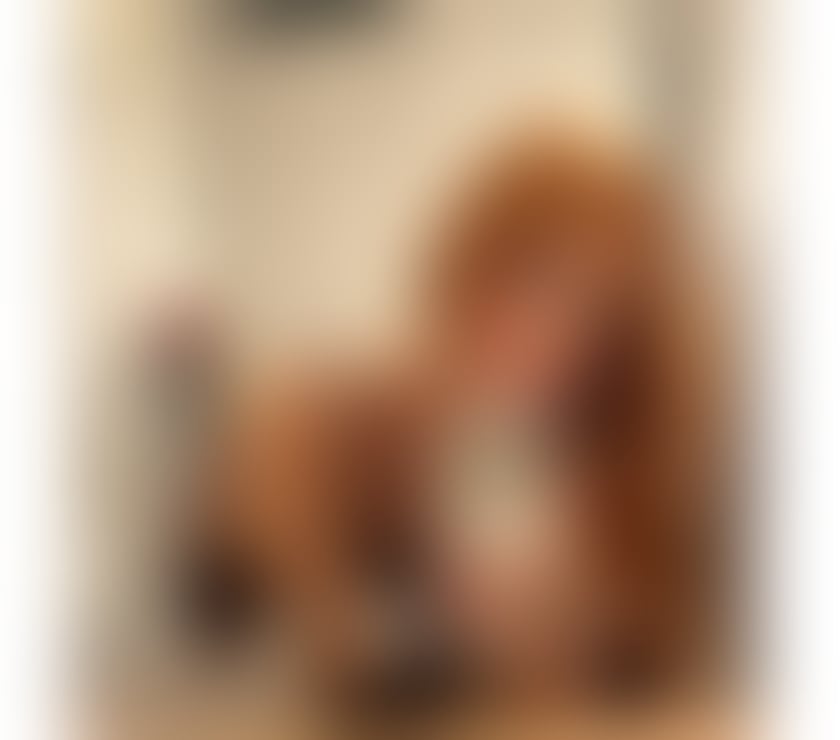 Trans Escorts South West London South Kensington - South West London - Photos for 🇧🇷 ISA BRAZILIAN ✨ VERY HOT 🫦🔥👩🏻‍🦰