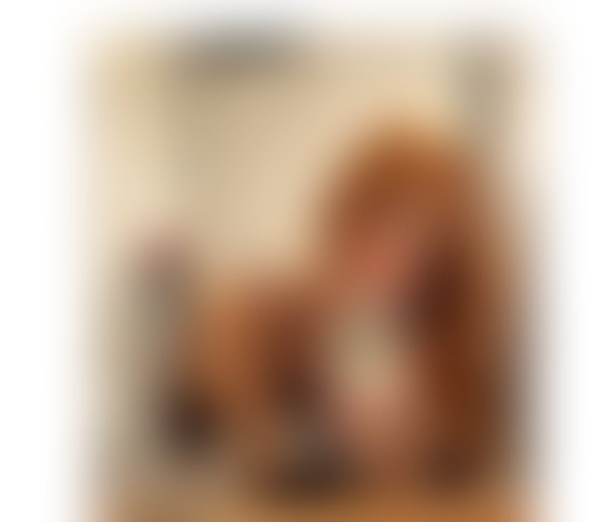 Escorts South West London South Kensington - South West London - Photos for ✨ ISA BRAZILIAN 🇧🇷🔥TRANS 🏳️‍⚧️🍆