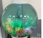 Affordable aquarium cleaning services