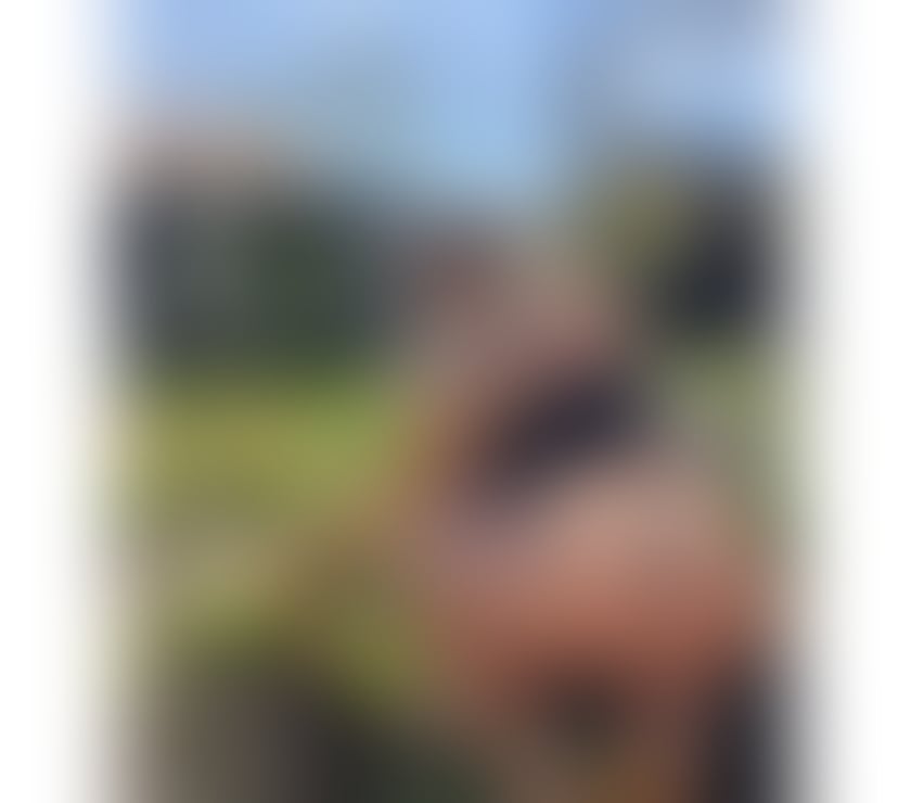 Escorts West Yorkshire Wakefield - Photos for Natalia 😍best a level 😘 real 😍
