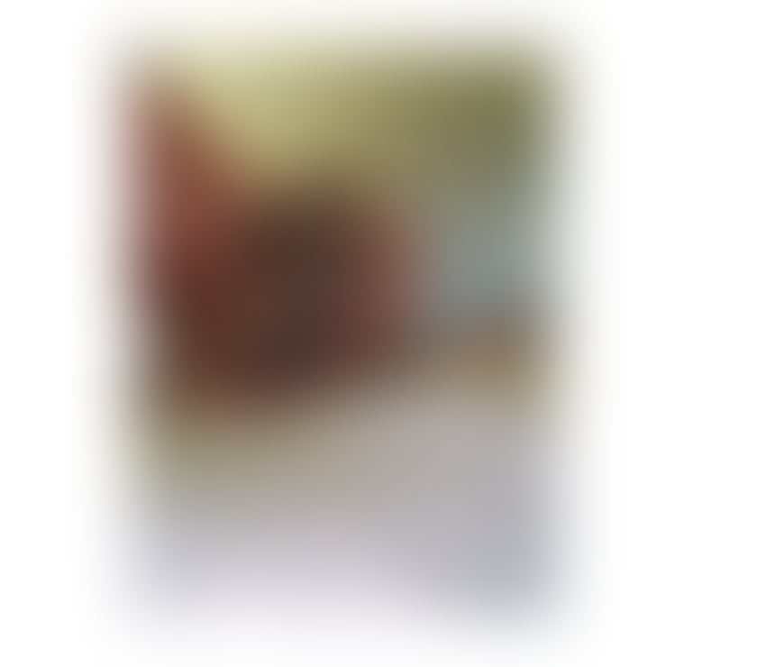 Escorts Devon Exeter - Photos for ❤️AISHA❤️BEST PARTY GIRL❤️