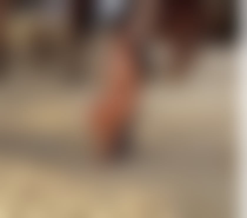 Escorts Tyne and Wear Newcastle upon Tyne - Photos for TAILA ✨ PERFECT COMPANY ✨ REALY PICTURE
