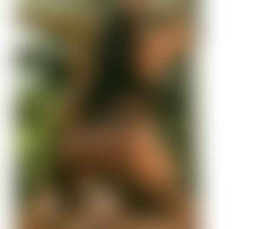 Escorts Wrexham - Wales Wrexham City Centre - Wrexham - Photos for Brazilian actress from XVideos!