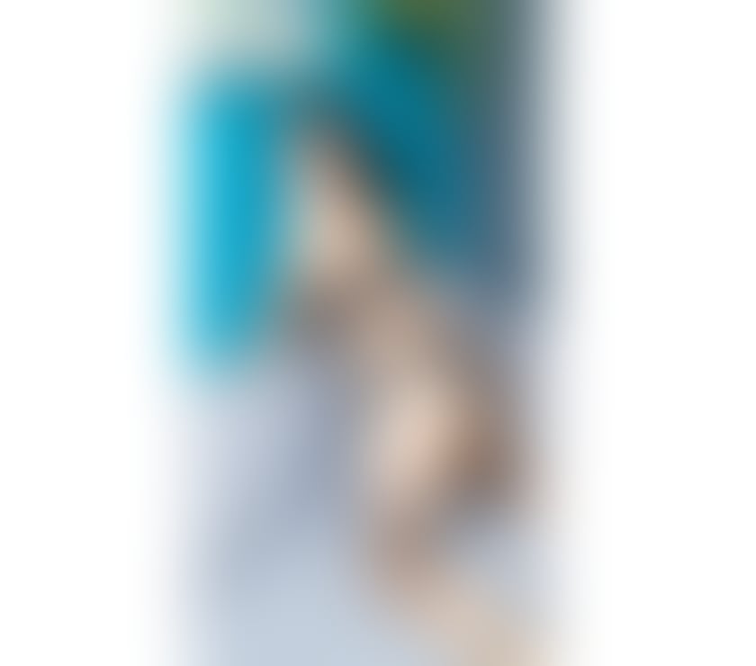 Escorts Gloucestershire Gloucester - Photos for 💘New Thai in town💘Good service