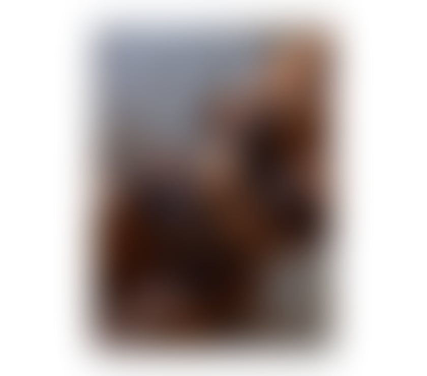 Escorts Wiltshire Swindon - Photos for 🇧🇷🌙MIA🌙🔥Your Brazilian🔥