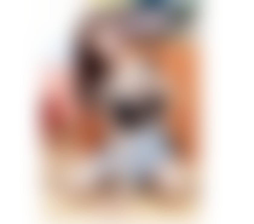 Escorts East London Canning Town - East London - Photos for Thai Rita Beauty Sweet New No Rush real💯 🇹🇭 In E16
