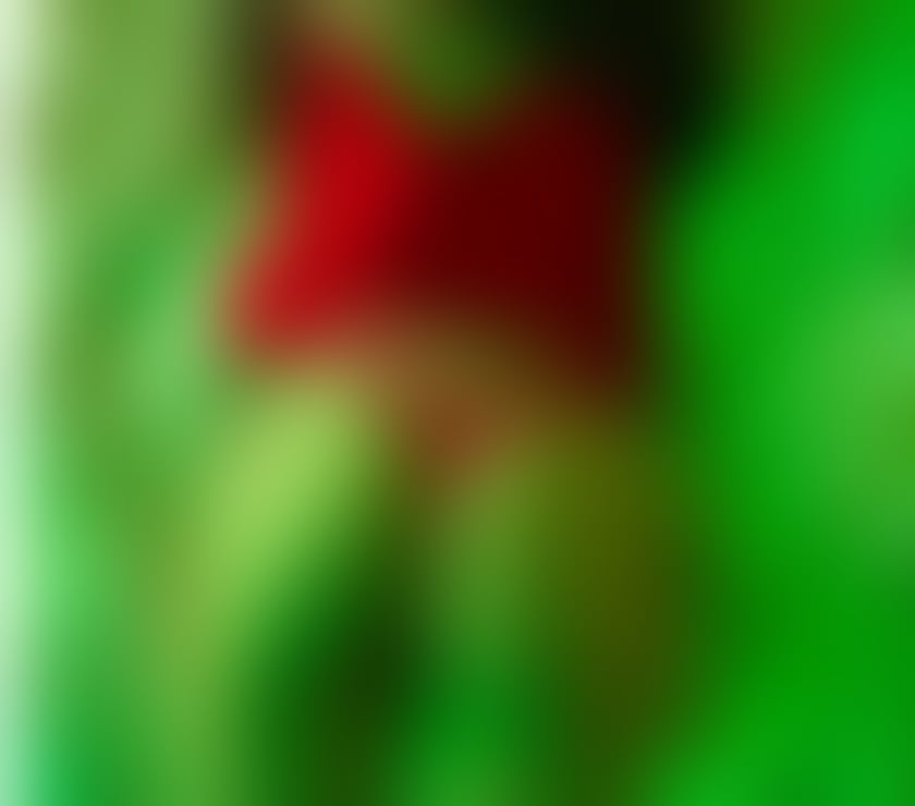 Escorts North West London Wembley Park - North West London - Photos for Hello, my name is Nicole 07553 514536