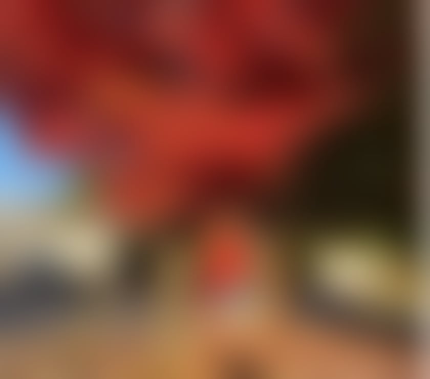 Escorts East London Stratford - East London - Photos for SEXY GIRL FOR YOU BABE🔥