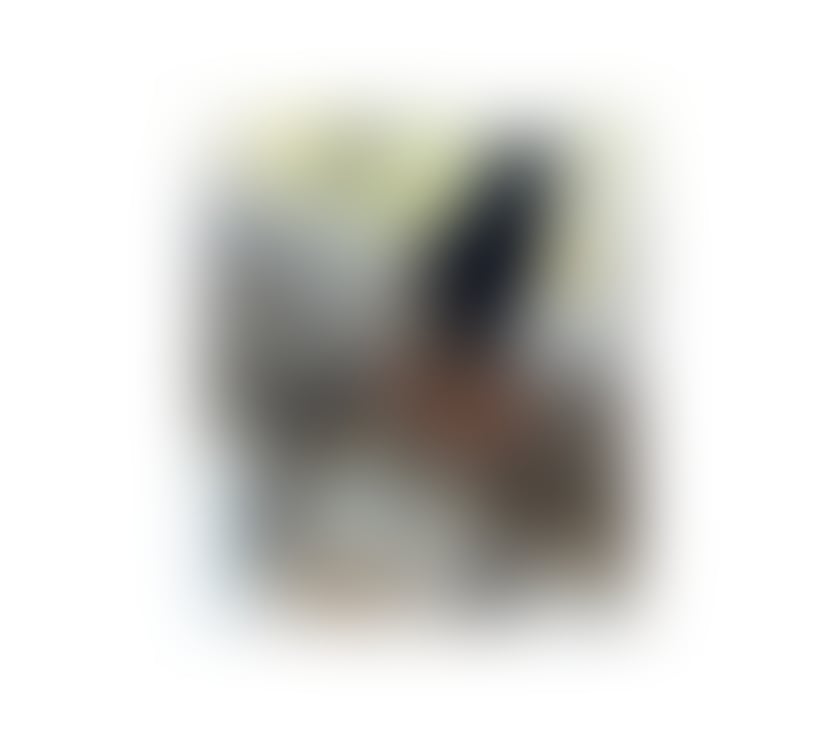 Escorts Darlaston Walsall - Photos for amarah😘 big&ass party girl no rush🥰