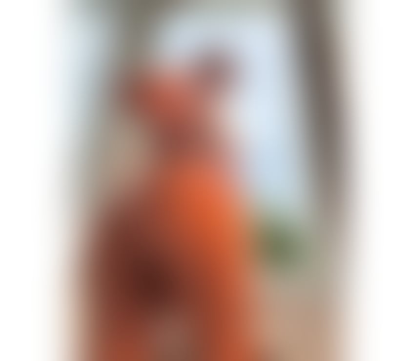 Trans Escorts East London Redbridge - Photos for ✅💕💎BEST TRANS P @ R T Y 💎⚡️XXL ✅💕