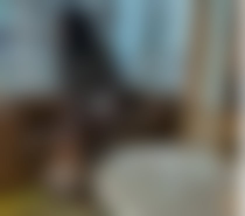 Escorts West Yorkshire Leeds - Photos for VIP ESCORT ACTIVE🥳🥳HORNY PARTY GIRL 💦