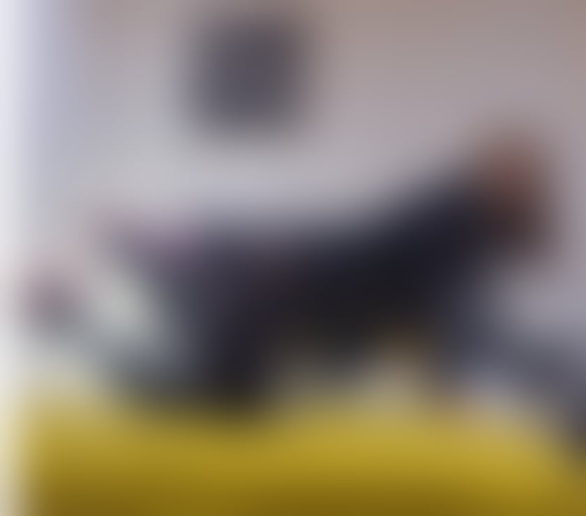 Transsexual Escorts Newport City Centre Newport - Wales - Photos for Eva💃The last day in Newport😘15min only£40🤑🤤🍆