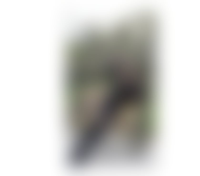 Photos for NEW💯Asian💕Best GFE💕No rush💕party girl💕