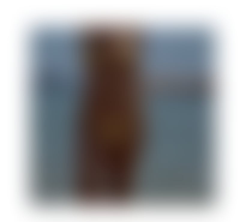 Escorts North London Palmers Green - North London - Photos for Sexy party babe girl🎉💦🍹