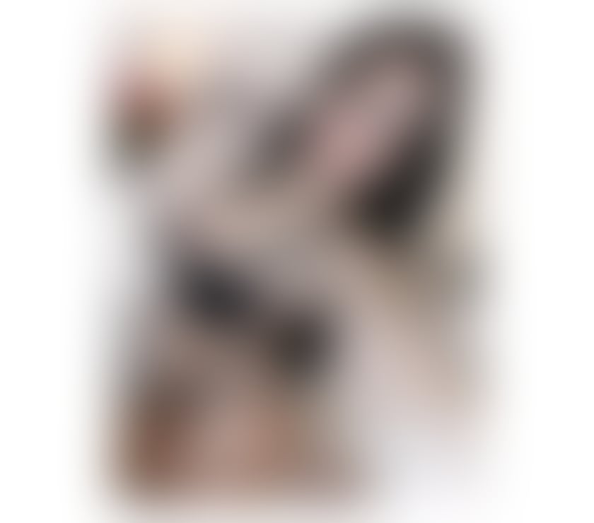 Escorts Hampshire Basingstoke and Deane - Photos for ❤️MELEK ❤️Fresh🔞 🎉 Brunette💯REAL🔝no rush
