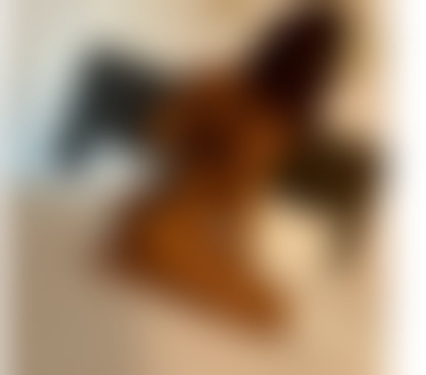 Escorts Leicester City Centre Leicester - Photos for Hi , I m Maya new in town 🥰😍