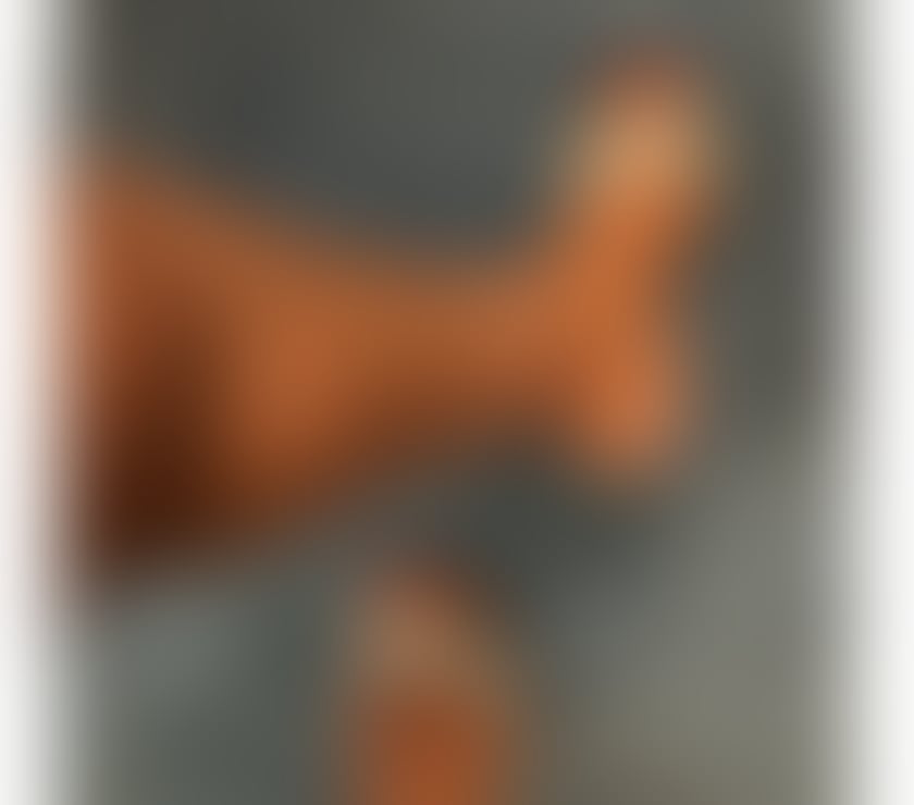 🔝SEXY EBONY ❤️GOOD SERVICE ❤️ GFE ; 💯 REAL