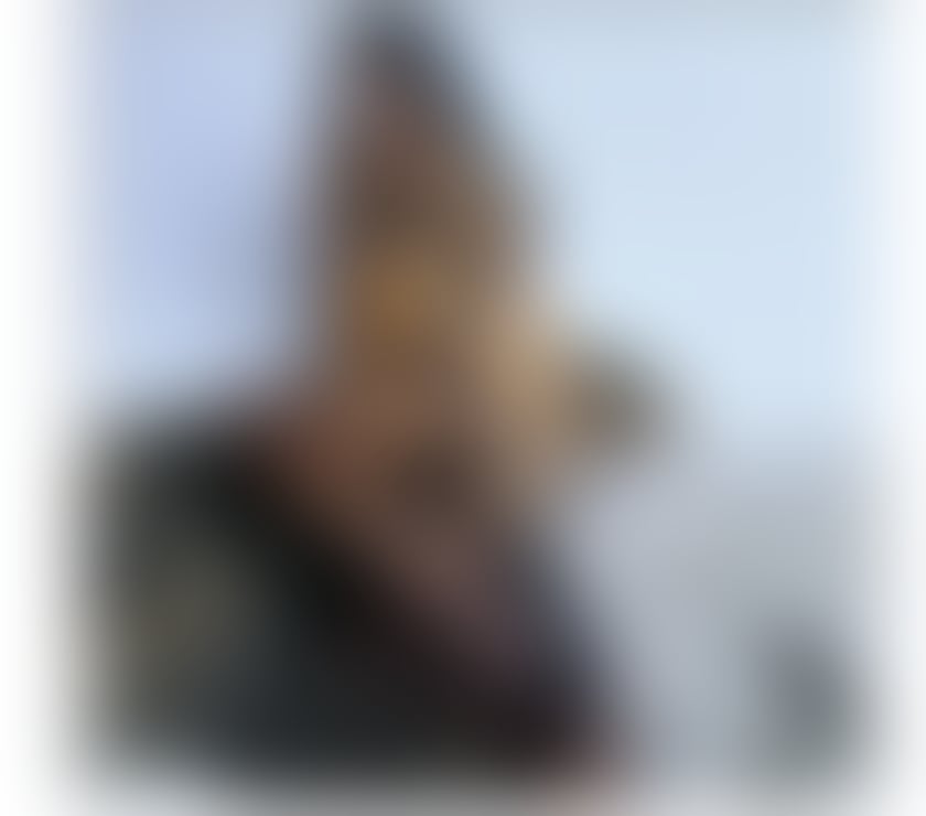 Escorts West Sussex Worthing - Photos for STOP HERE Let's have an incredible experience