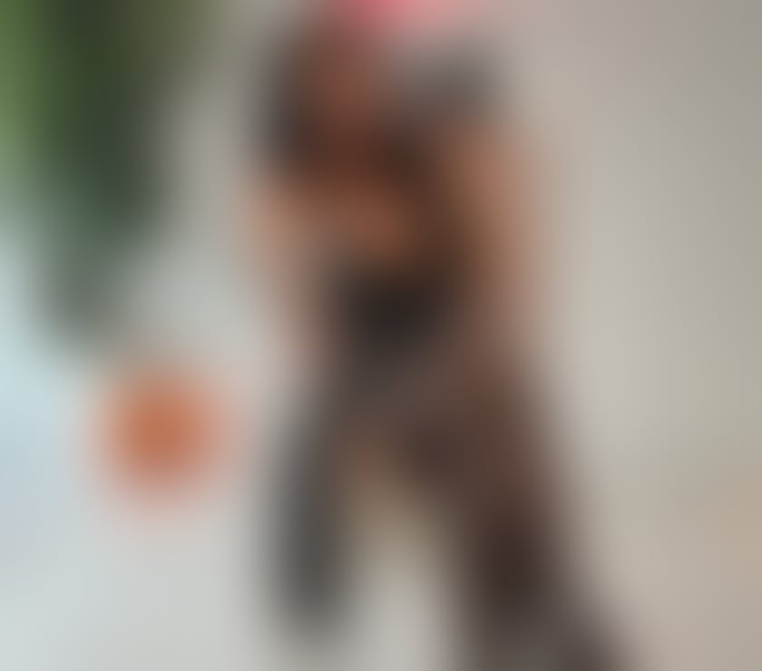 Escorts Hampshire Southampton - Photos for NEW Miki 💎 PARTY GIRL 💎Best GFE💋😛OWO😜