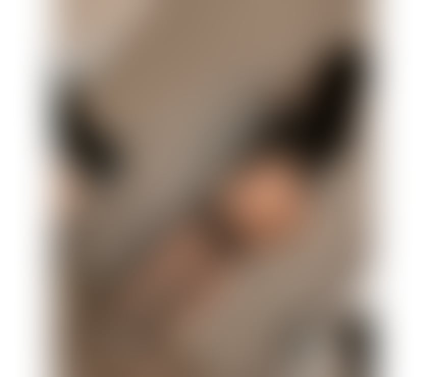 Photos for Verified 🧡JUST OUTCALL🔥NATURAL💋OWO💚HOT🔥