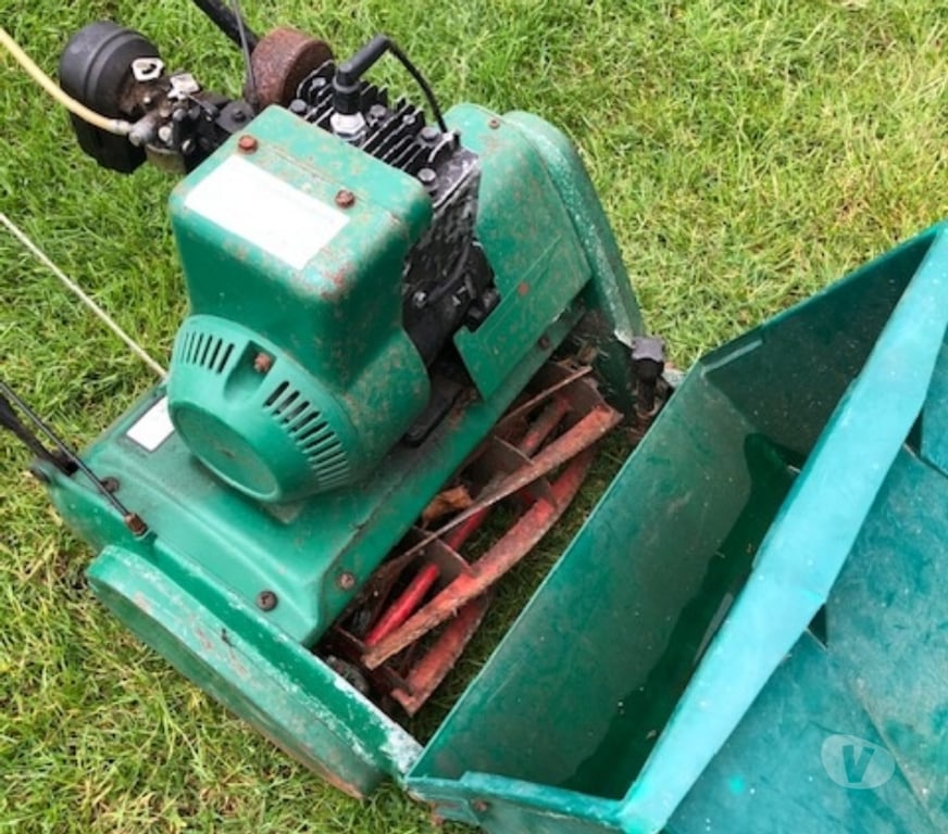 Garden, Outdoor & DIY Essex Maldon - Photos for Suffolk Colt Lawnmower . Petrol 14 inch