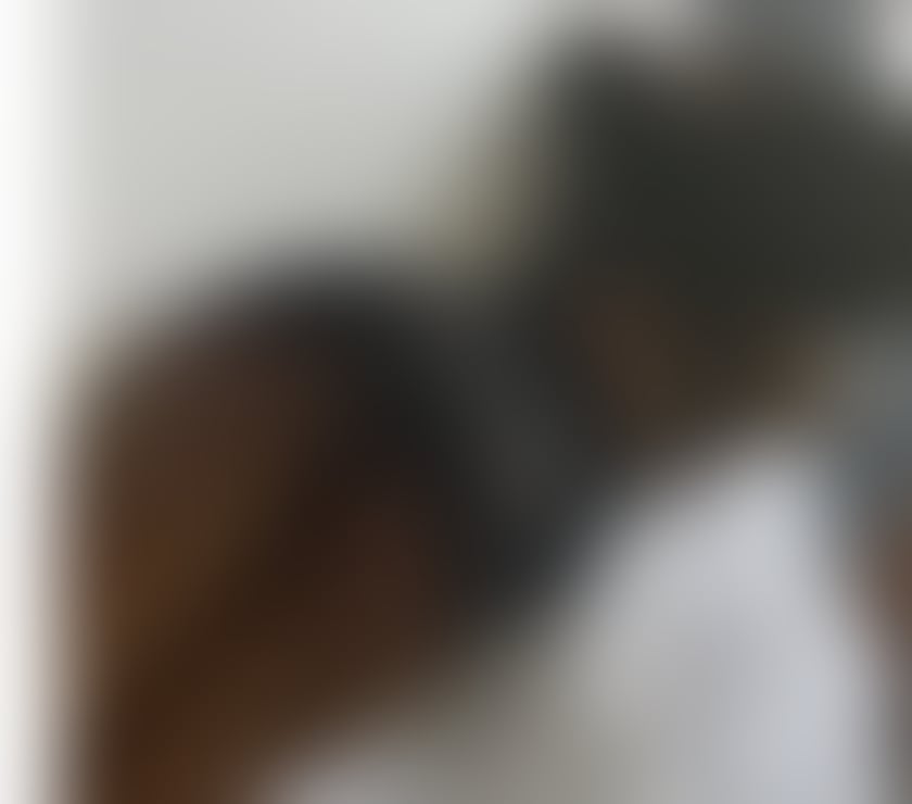 Escorts Swansea - Wales Swansea City Centre - Swansea - Photos for Elite Carla back in Swansea offering BDSM and GFE party