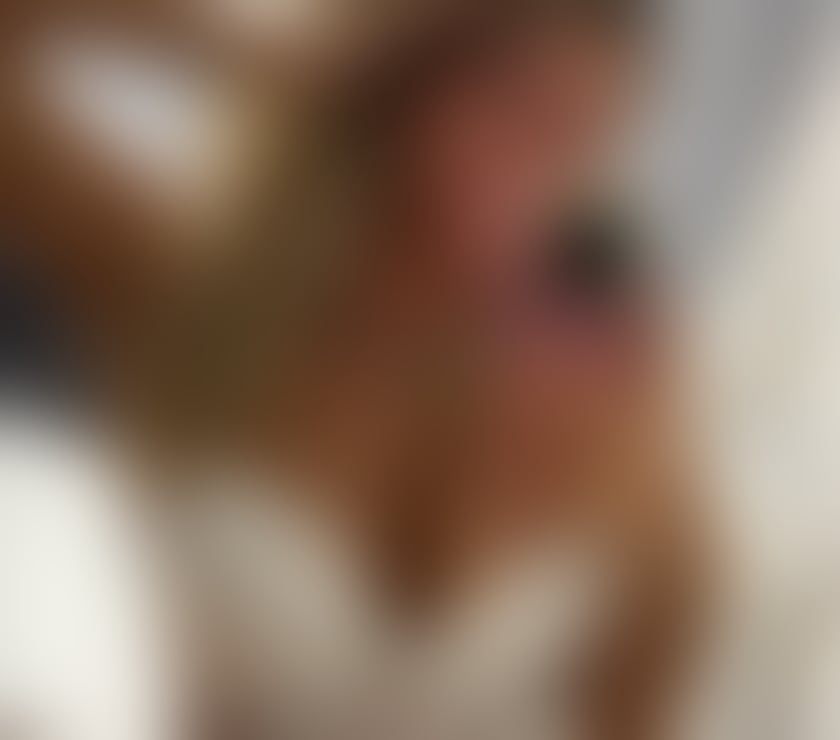  Escorts Bristol City Centre Bristol - Photos for Best services in town